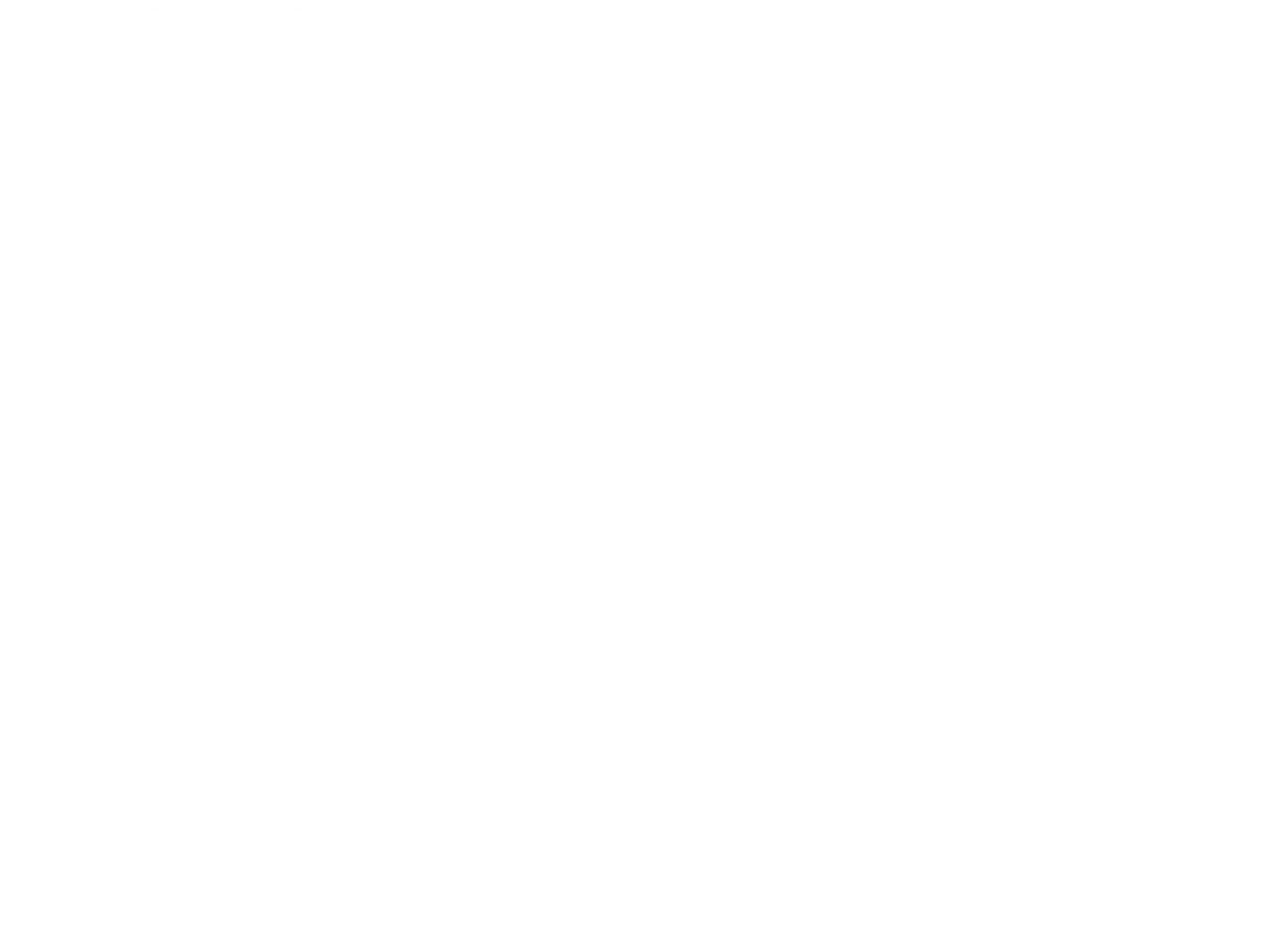 Welsh National Theatre logo